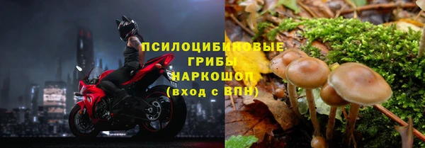 не бодяженный Алексин