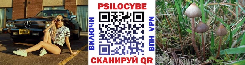Галлюциногенные грибы прущие грибы  купить  сайты  Кочубеевское 